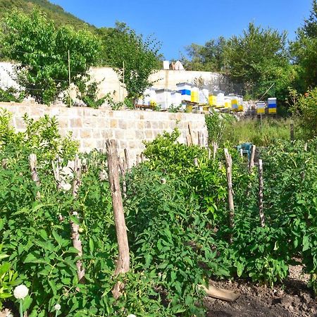 Verbalj Apartment With Swimming Pool Kotor Luaran gambar