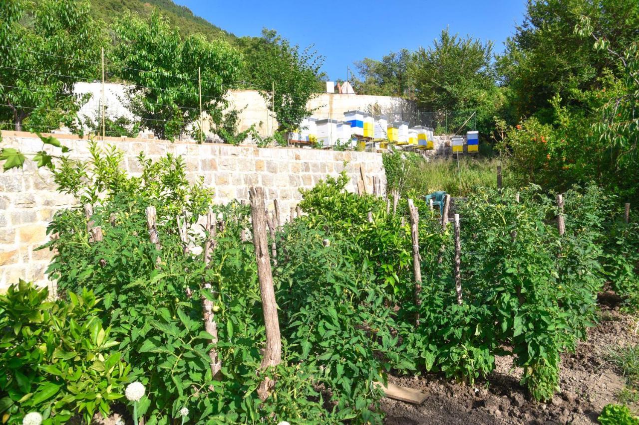 Verbalj Apartment With Swimming Pool Kotor Luaran gambar